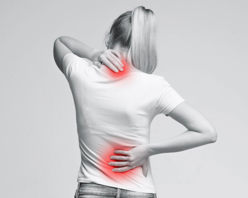 Bel ve Boyun Fıtığı Nedir ?